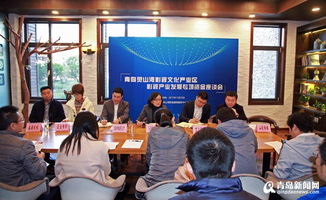 灵山湾影视企业获2042万专项资金，摄制服务再升级